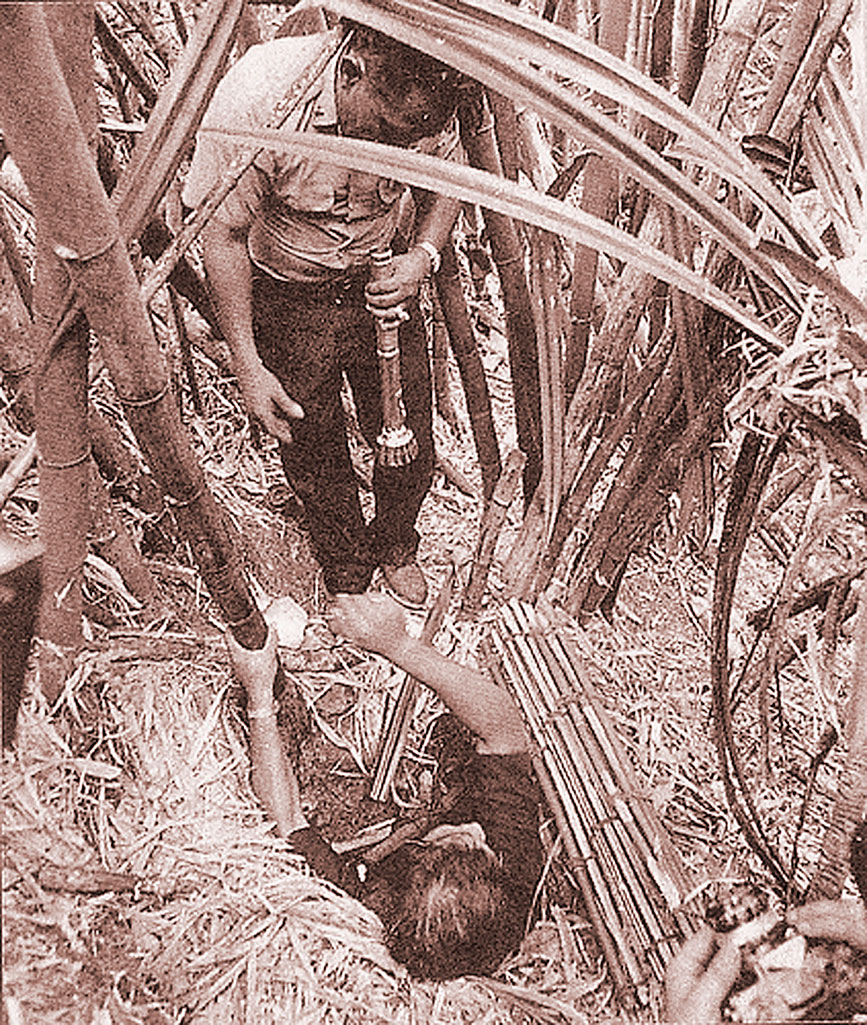 Entrada al refugio de Shoichi. La cueva original fue destruida en un tifón, y en la actualidad las autoridades locales han construido una réplica como atracción turística.