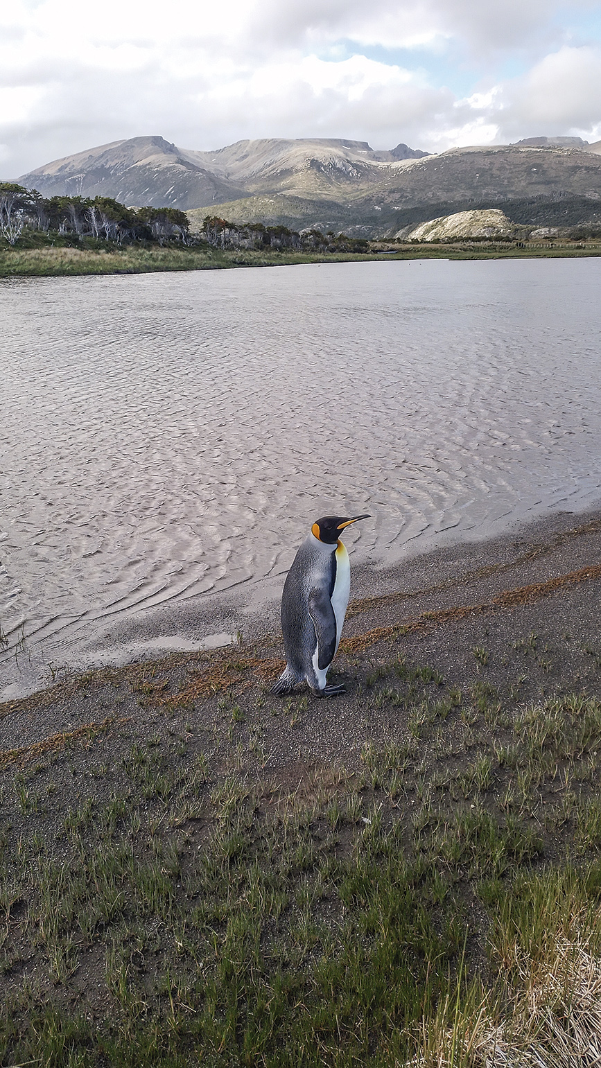 peninsulamitremariasoldeserti14