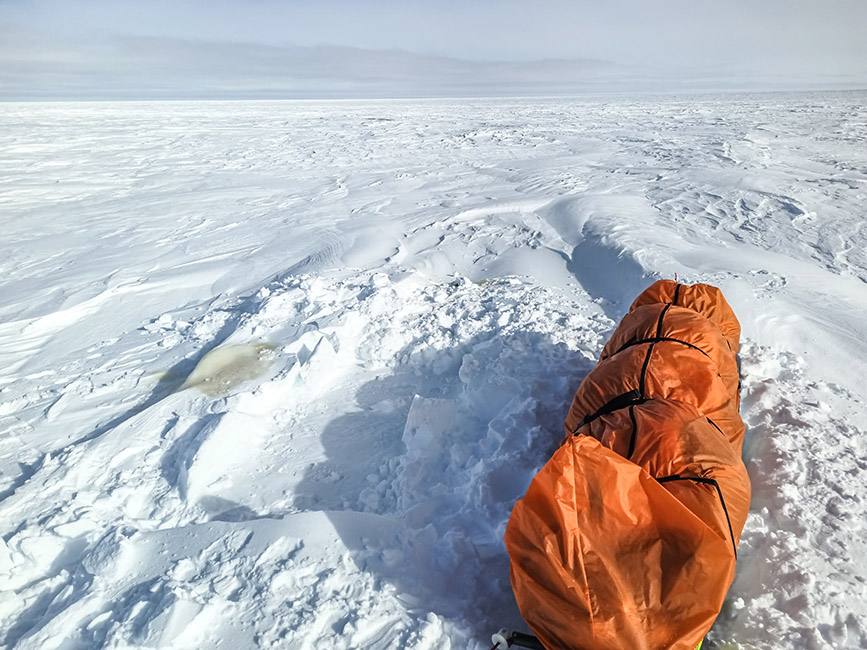 polosurantoniodelarosa6